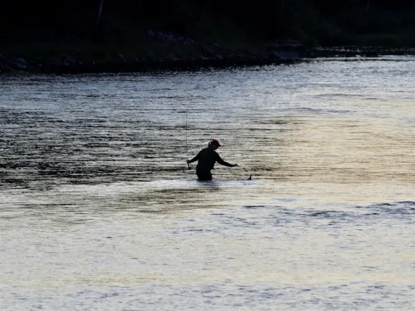 A fisherman in a river.